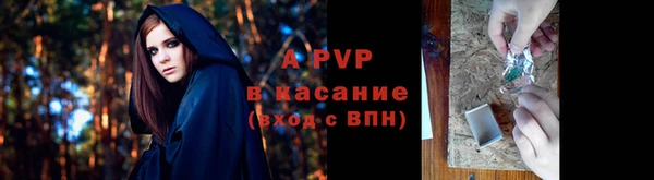 крисы Инсар