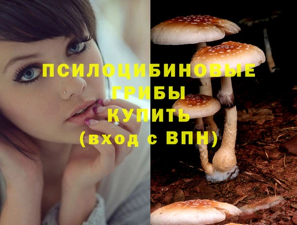 гашишное масло Каменка