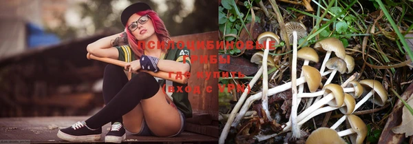 метадон Инта