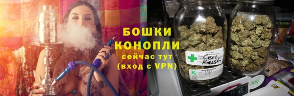 метадон Инта