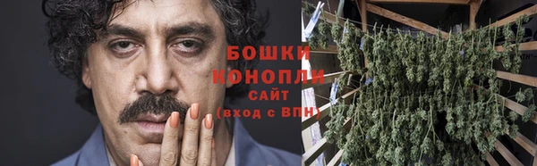 spice Каменногорск