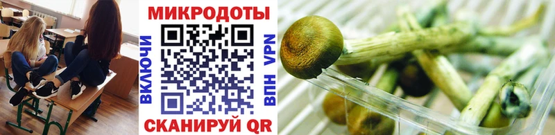 Купить  Демидов  Галлюциногенные грибы Psilocybe 